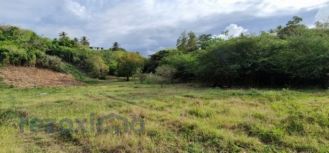 Vente Terrain à le Gosier 0 pièce