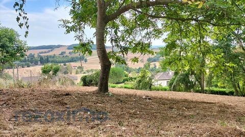 Vente Terrain à Puycasquier 0 pièce