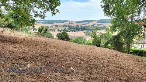 Vente Terrain à Puycasquier 0 pièce