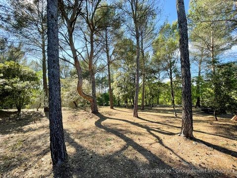 Vente Maison à Velleron 2 pièces