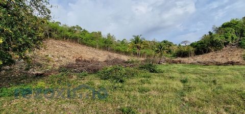 Vente Terrain à le Gosier 0 pièce