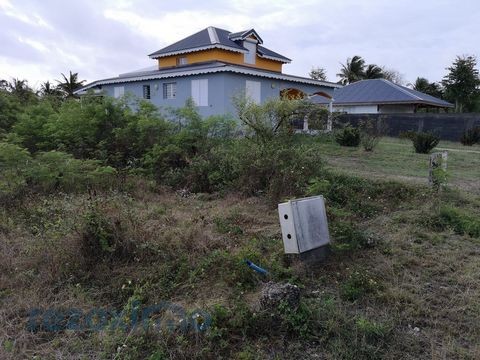 Vente Terrain à Anse-Bertrand 0 pièce