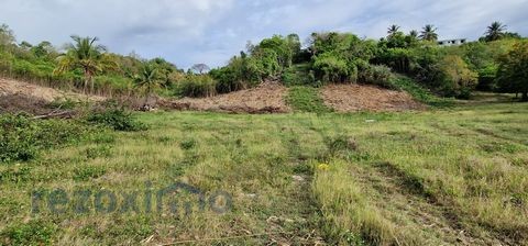 Vente Terrain à le Gosier 0 pièce