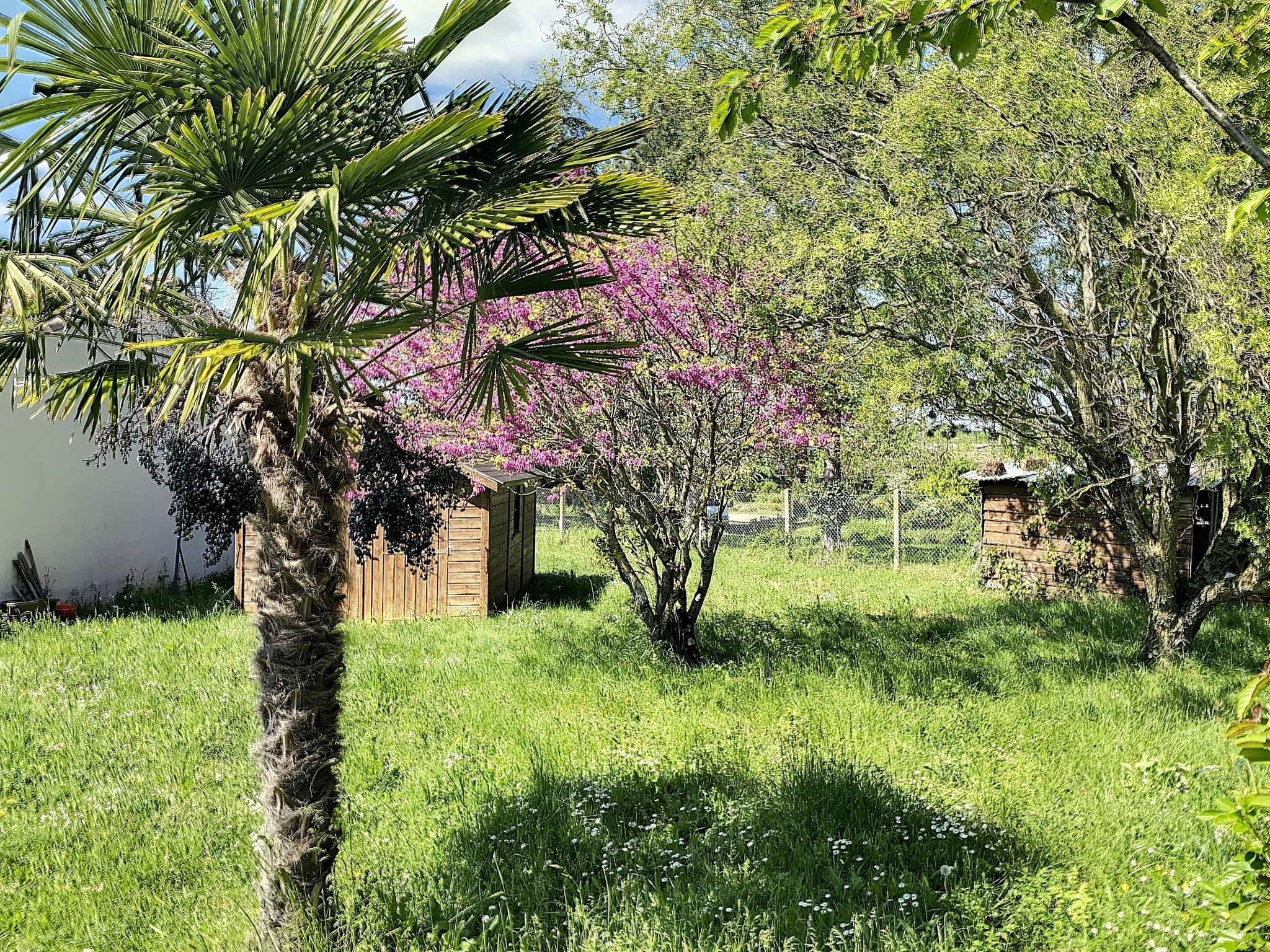 Vente Maison à Coulonges-sur-l'Autize 6 pièces