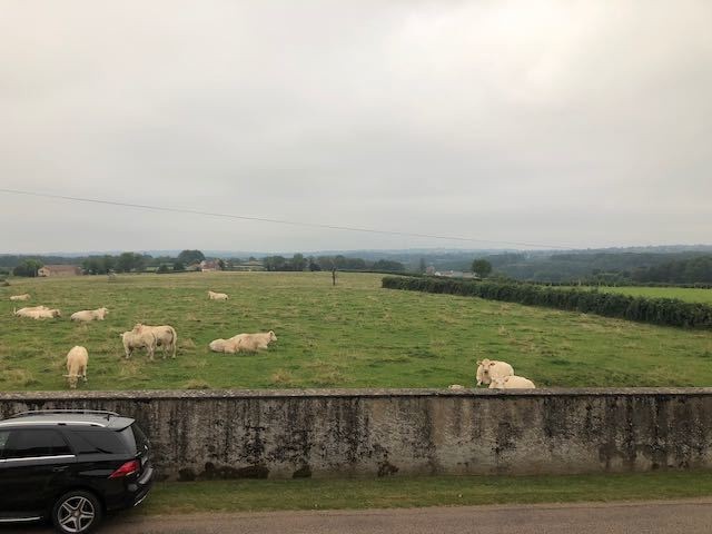 Vente Maison à Vauban 10 pièces