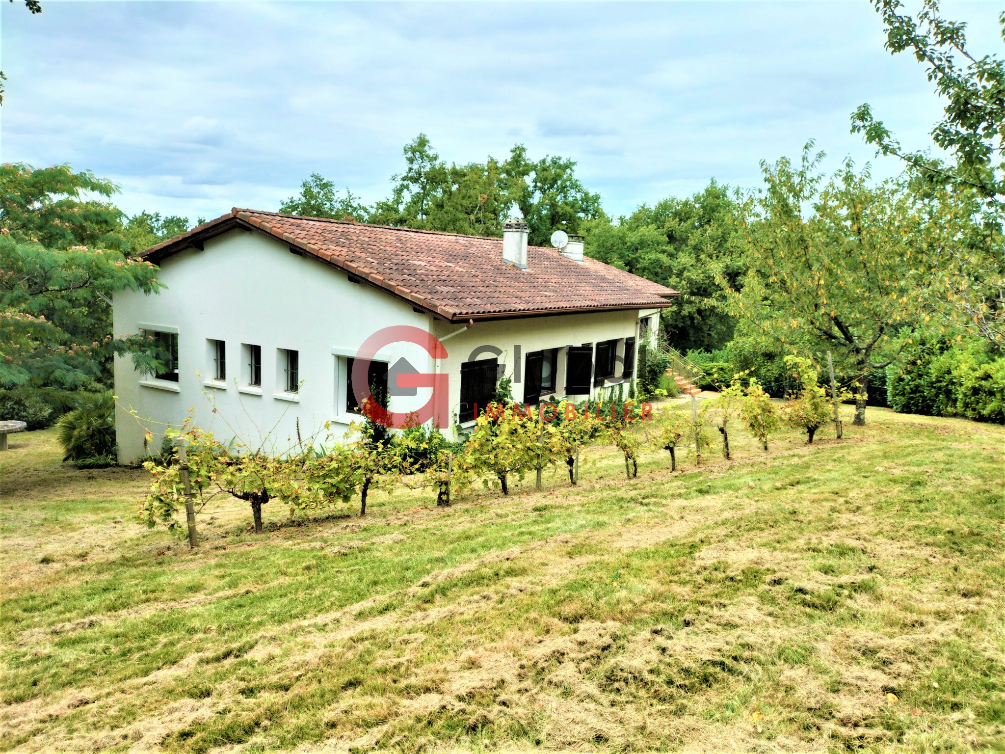 Vente Maison à Aire-sur-l'Adour 9 pièces