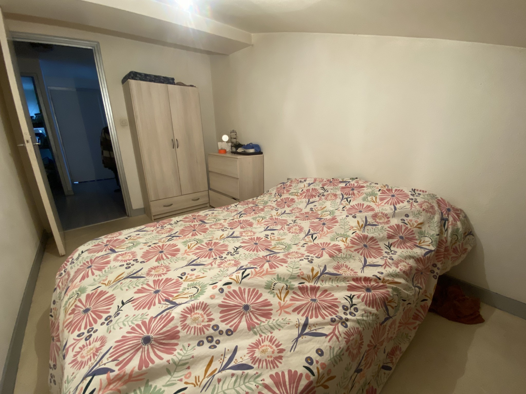 Location Appartement à le Puy-en-Velay 3 pièces