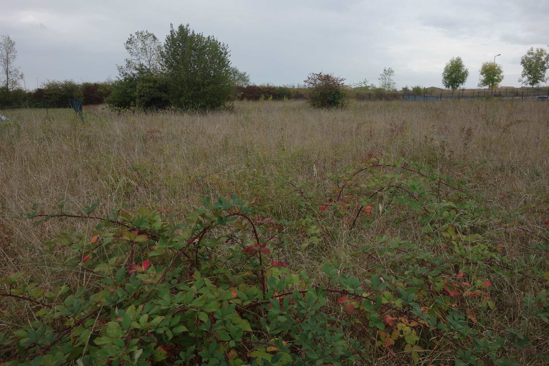 Vente Terrain à Blaye 0 pièce