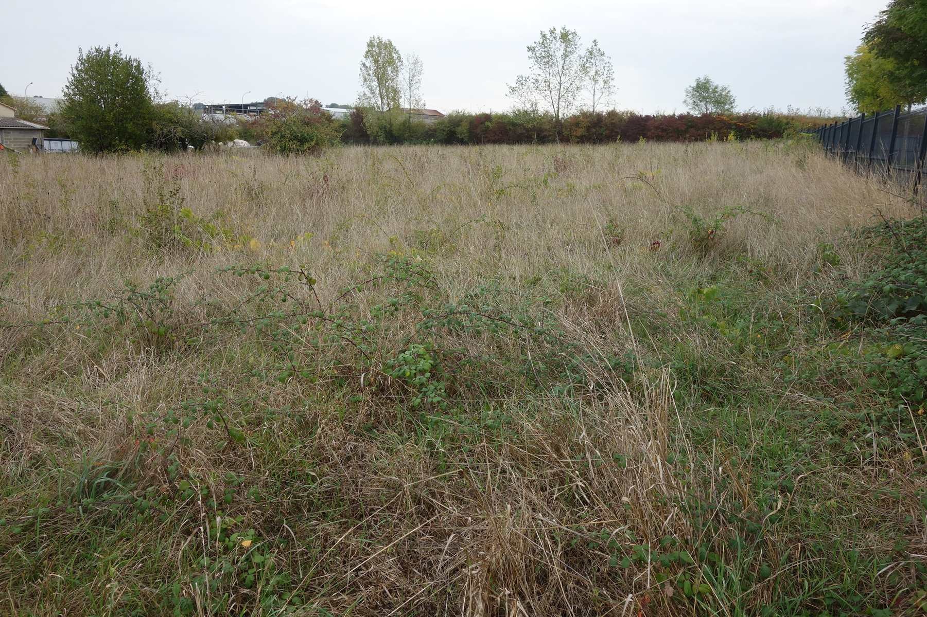 Vente Terrain à Blaye 0 pièce