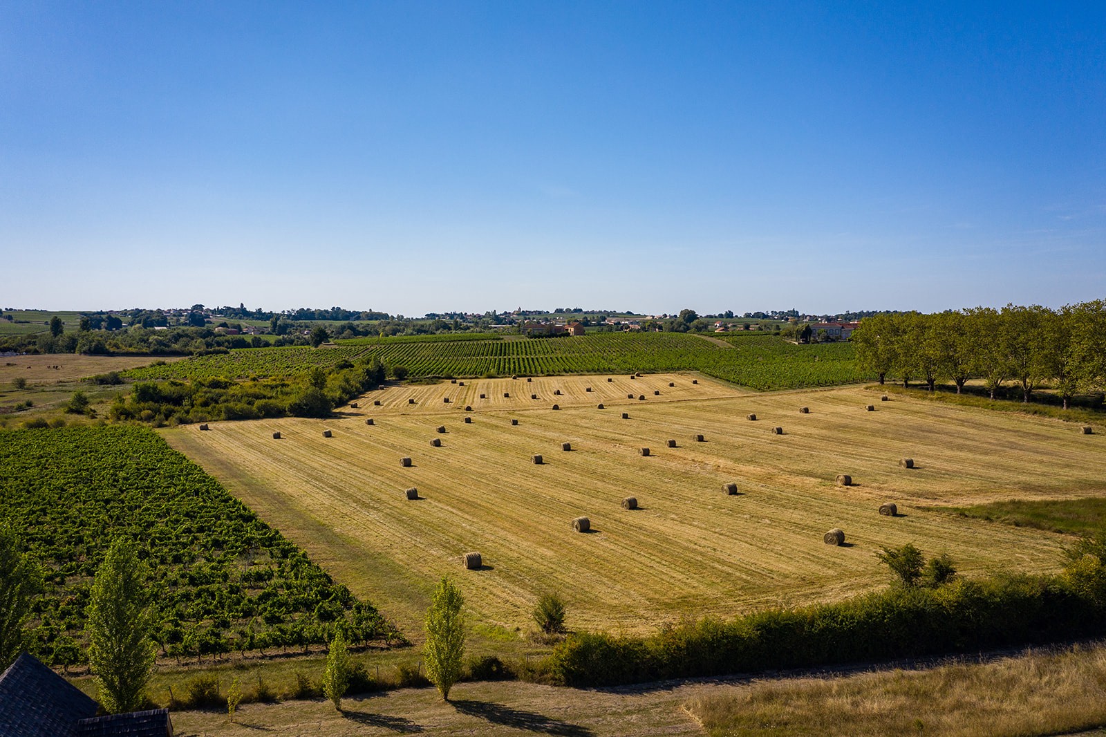 Vente Maison à Berson 11 pièces