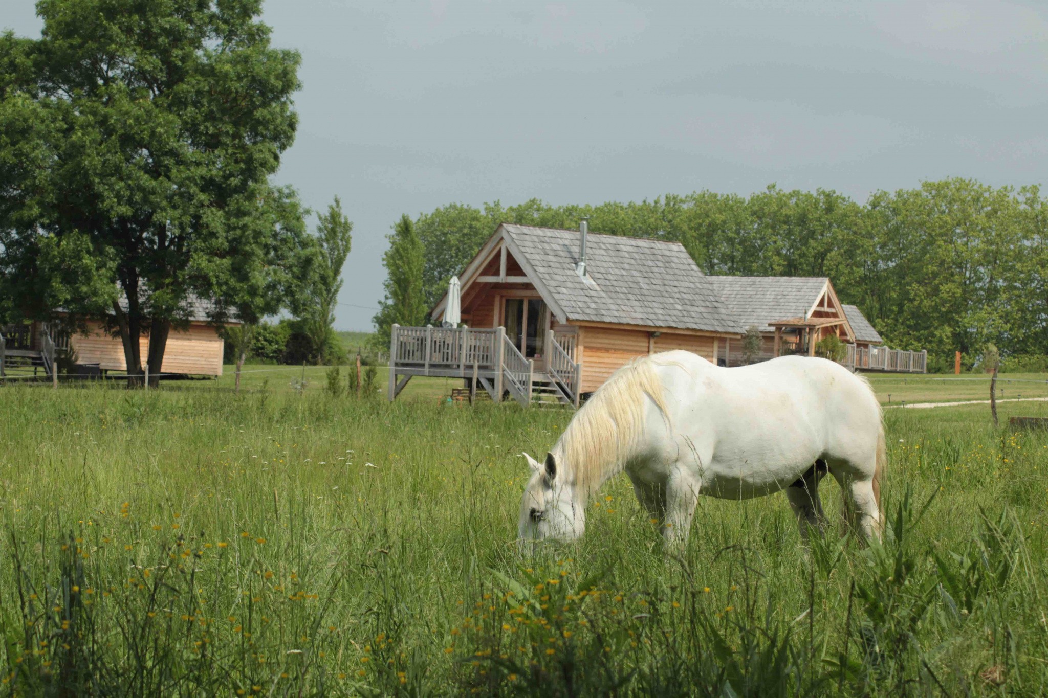 Vente Maison à Berson 11 pièces