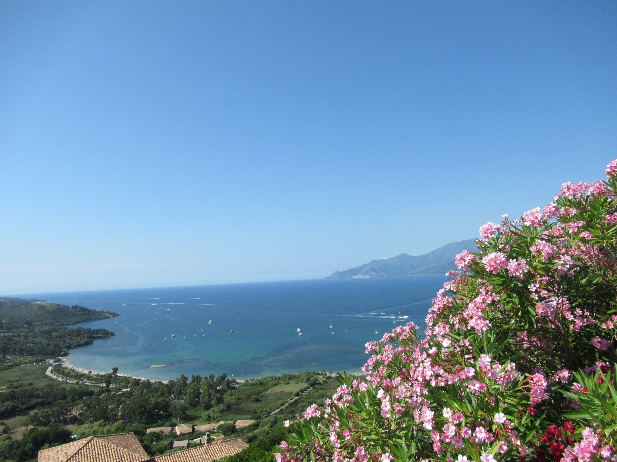 Vente Maison à Saint-Florent 8 pièces