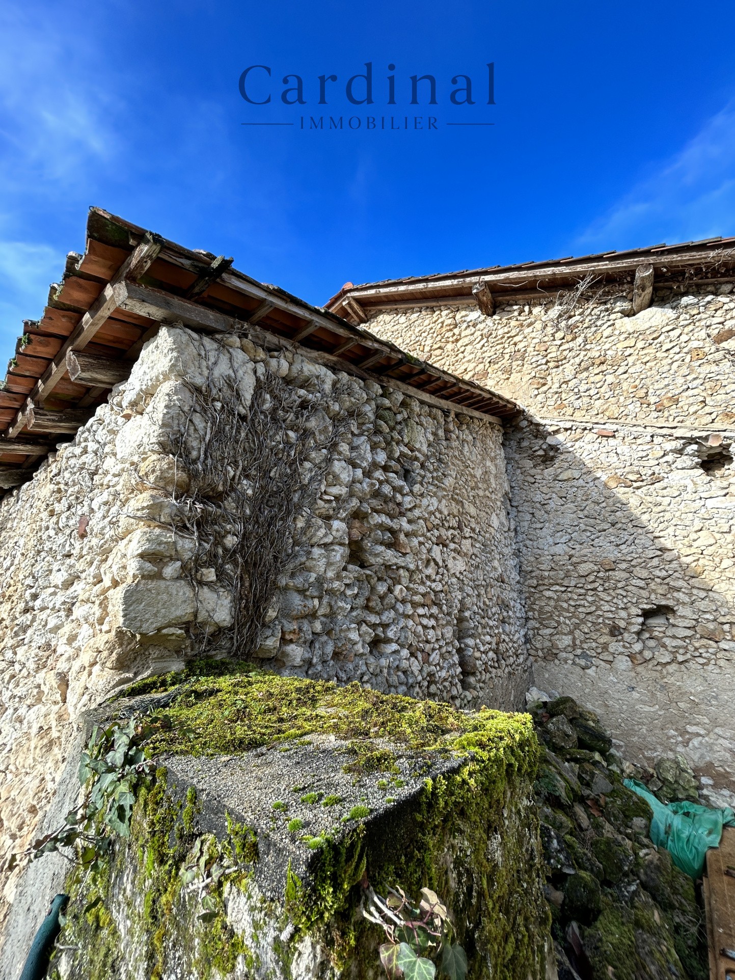 Vente Maison à Saint-Astier 12 pièces