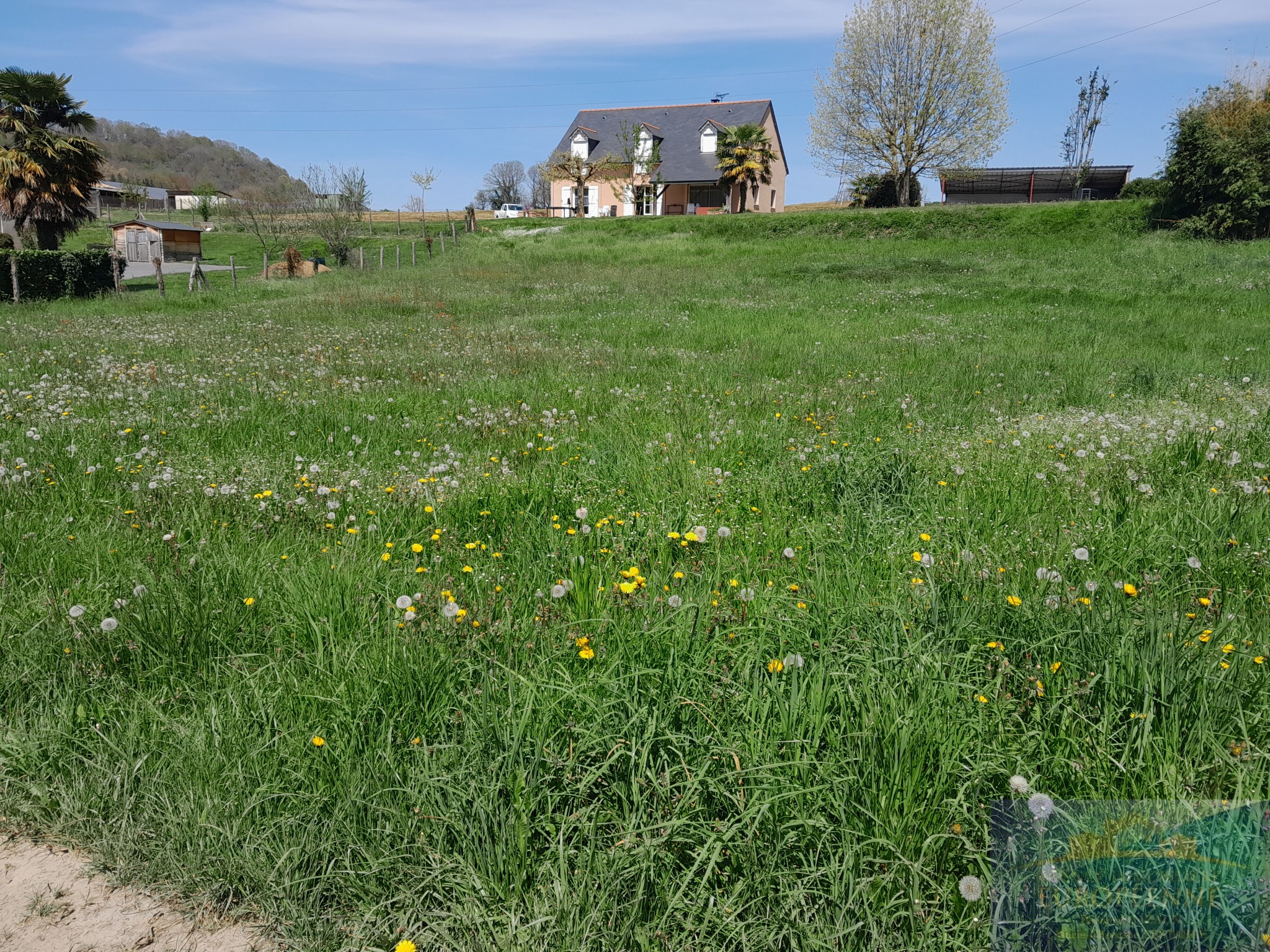 Vente Terrain à Lourdes 0 pièce