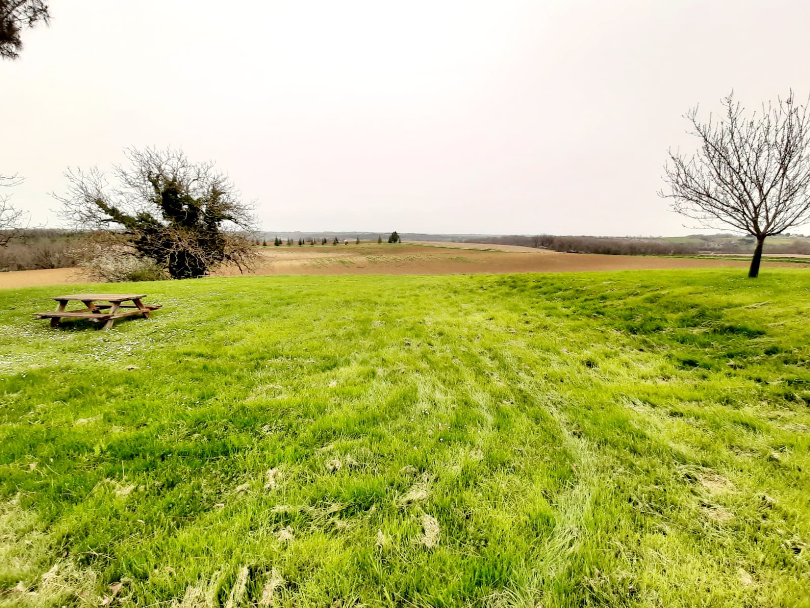 Vente Maison à Puymirol 3 pièces