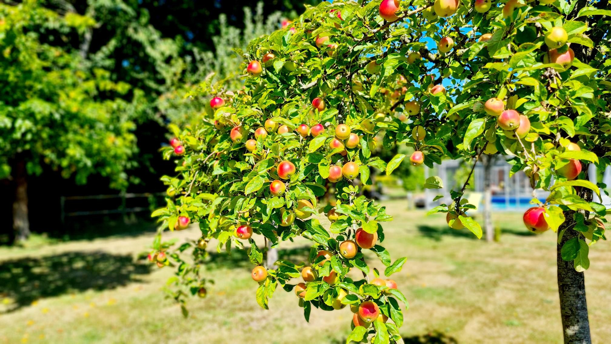 Vente Maison à Deauville 16 pièces