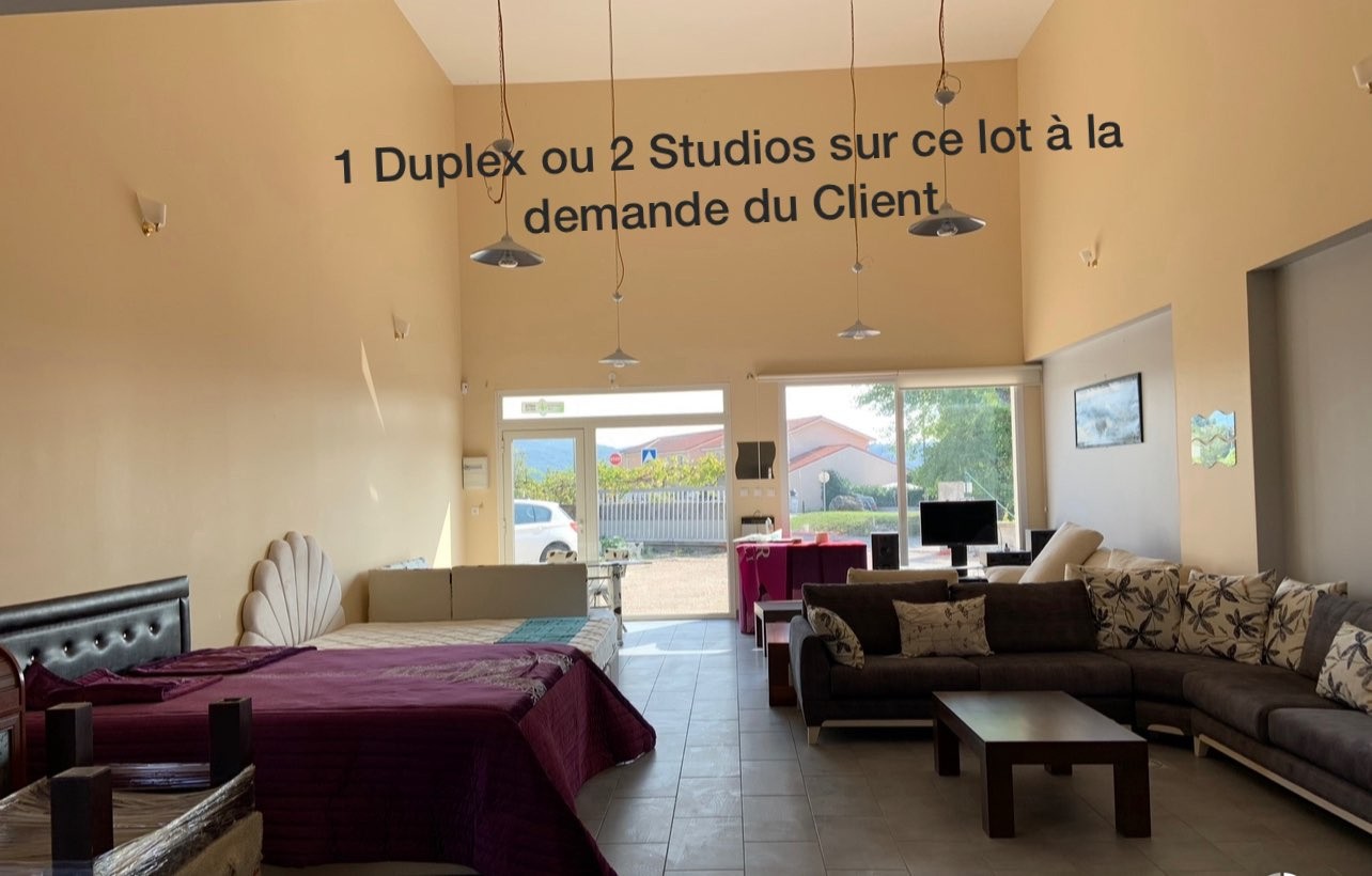 Vente Bureau / Commerce à Ambérieu-en-Bugey 16 pièces