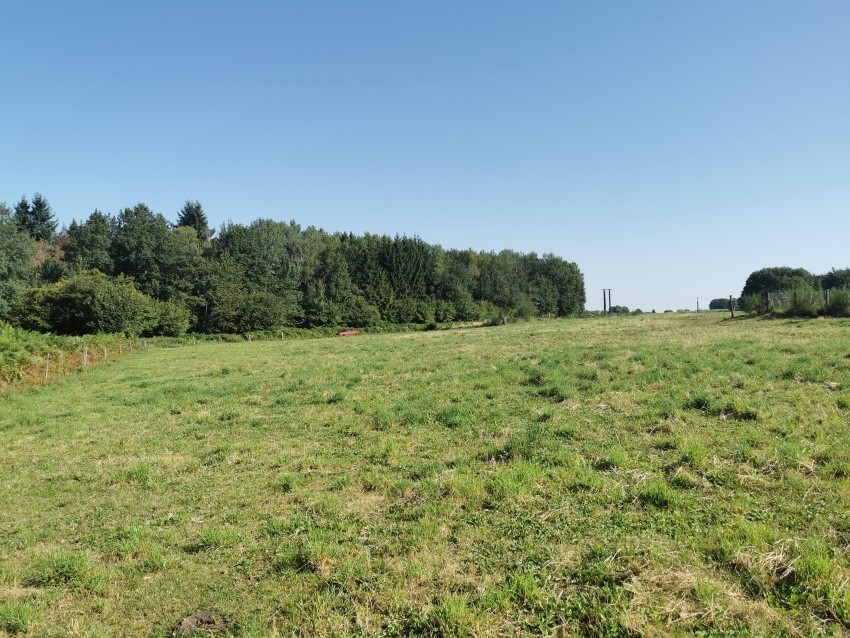 Vente Terrain à Saint-Georges-de-Mons 0 pièce