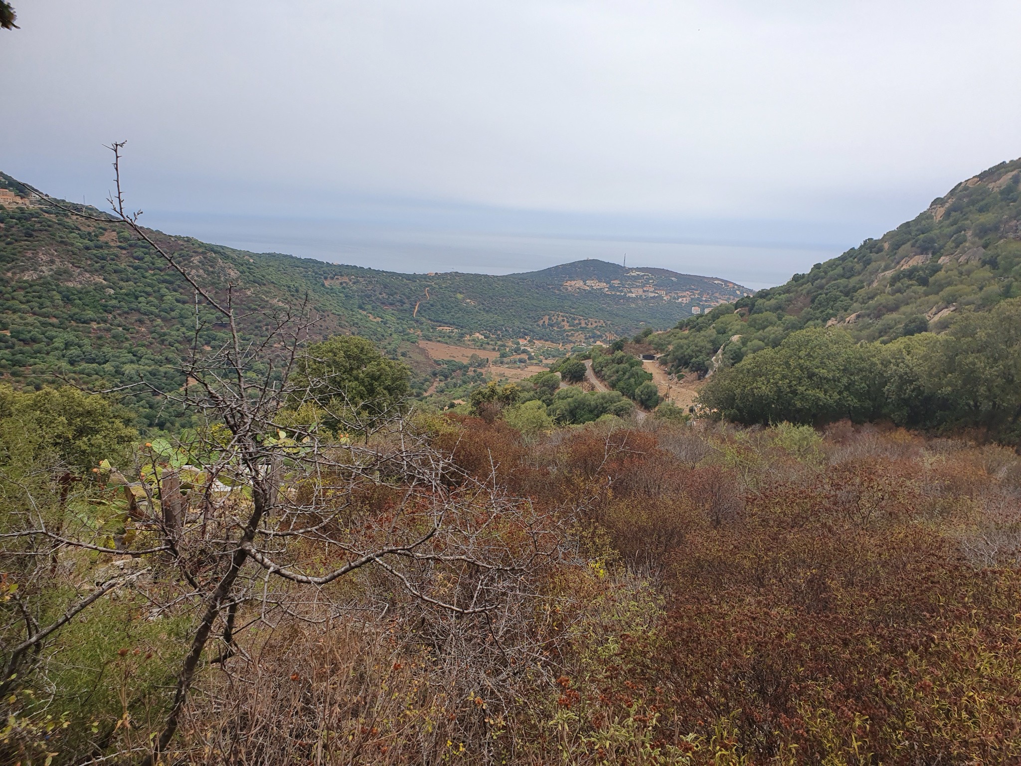 Vente Terrain à Santa-Reparata-di-Balagna 0 pièce