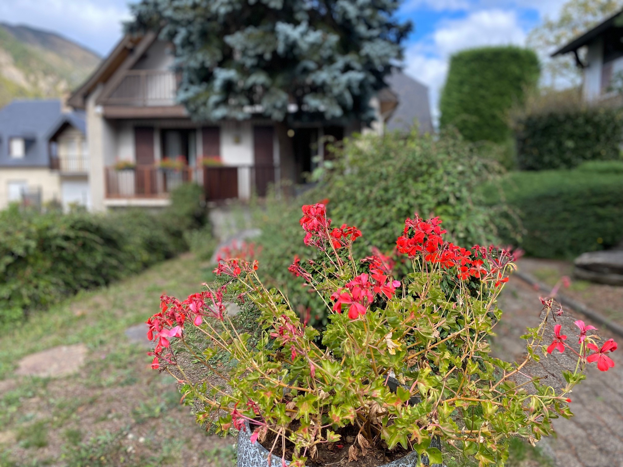 Vente Maison à Saint-Lary-Soulan 8 pièces