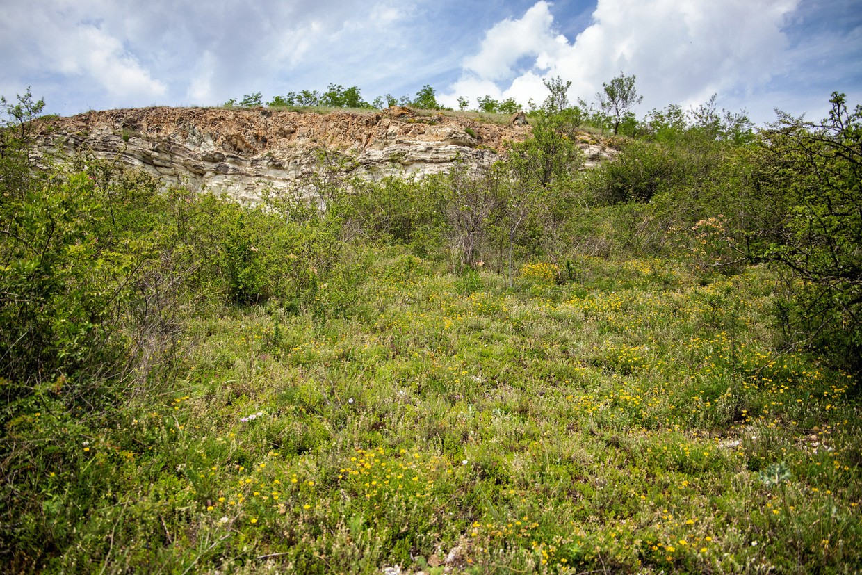 Vente Terrain à Cournon-d'Auvergne 0 pièce