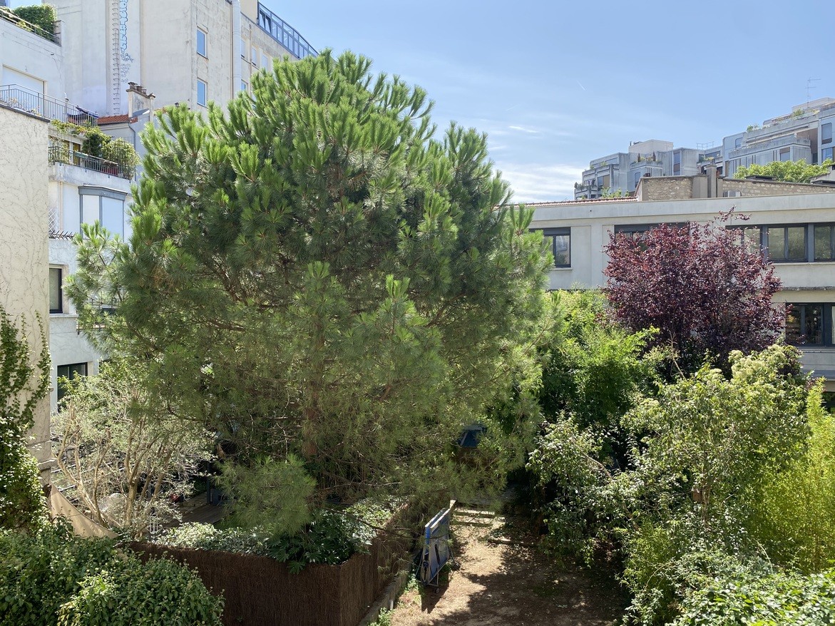 Vente Appartement à Paris Reuilly 12e arrondissement 3 pièces