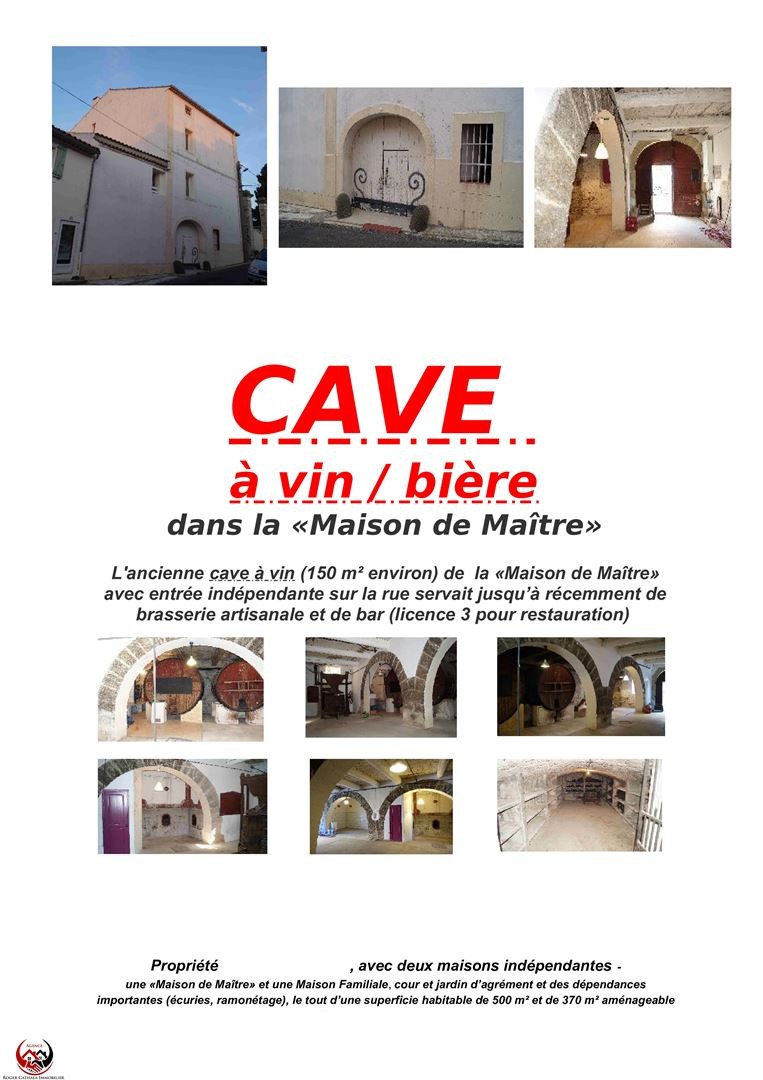 Vente Maison à Ventenac-en-Minervois 20 pièces