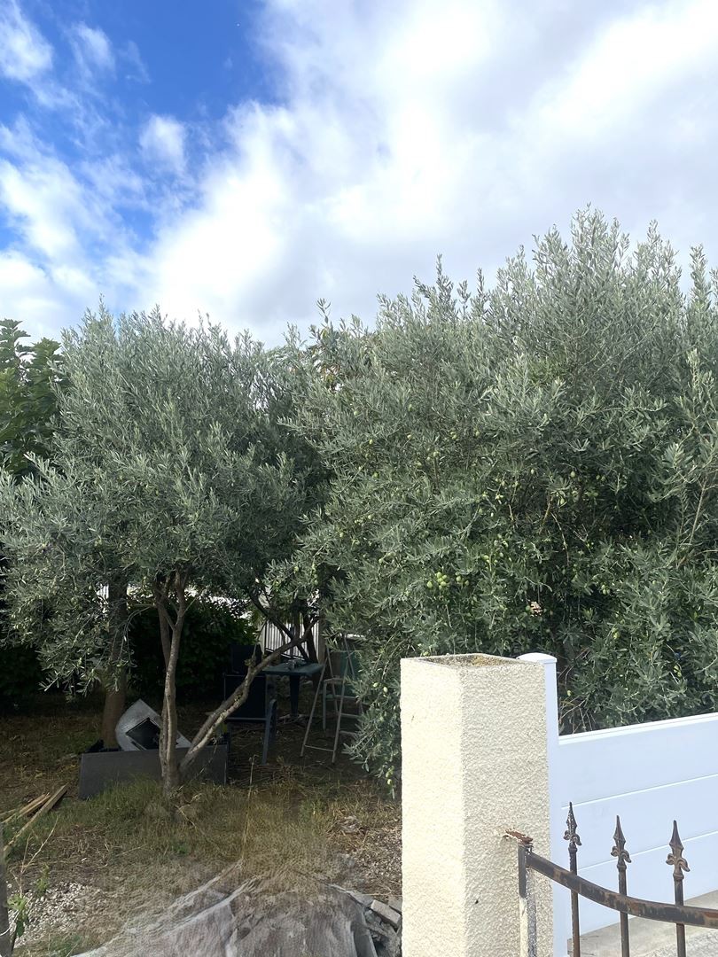 Vente Maison à Pouzols-Minervois 5 pièces