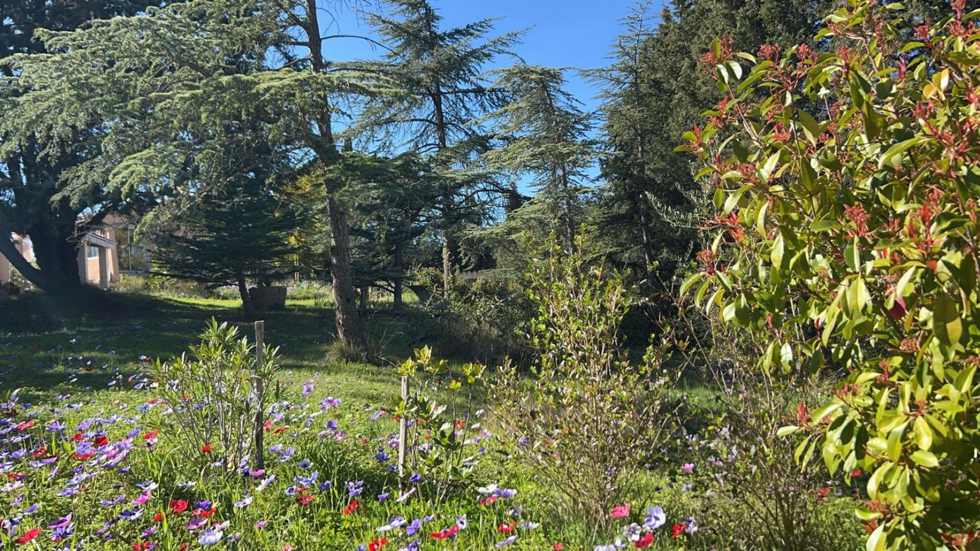 Vente Maison à Laure-Minervois 4 pièces