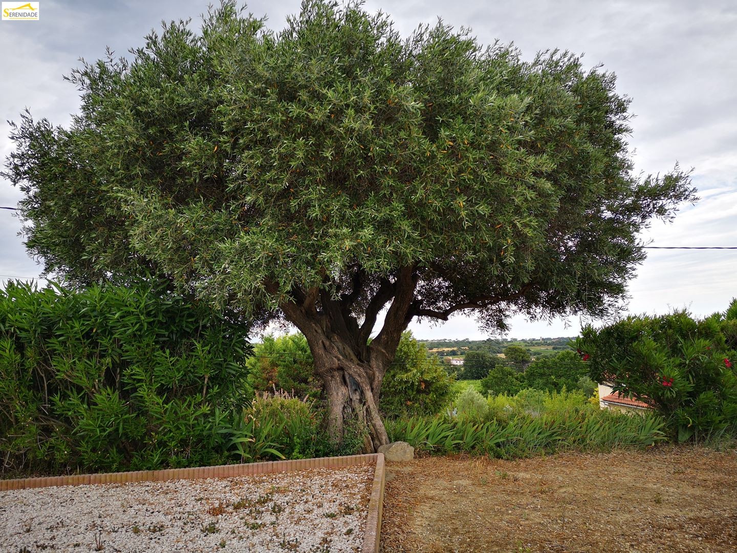 Vente Maison à Pézenas 4 pièces