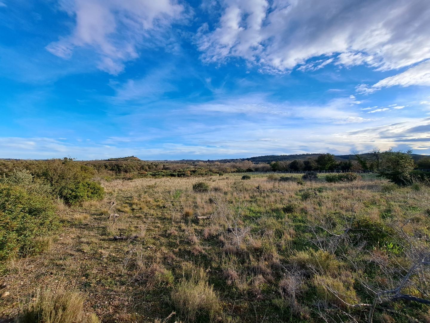 Vente Terrain à Pézenas 0 pièce