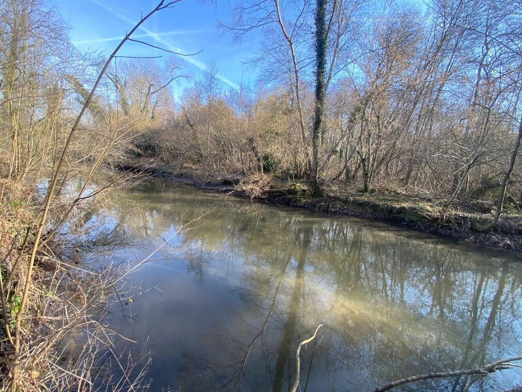 Vente Terrain à Méréville 0 pièce