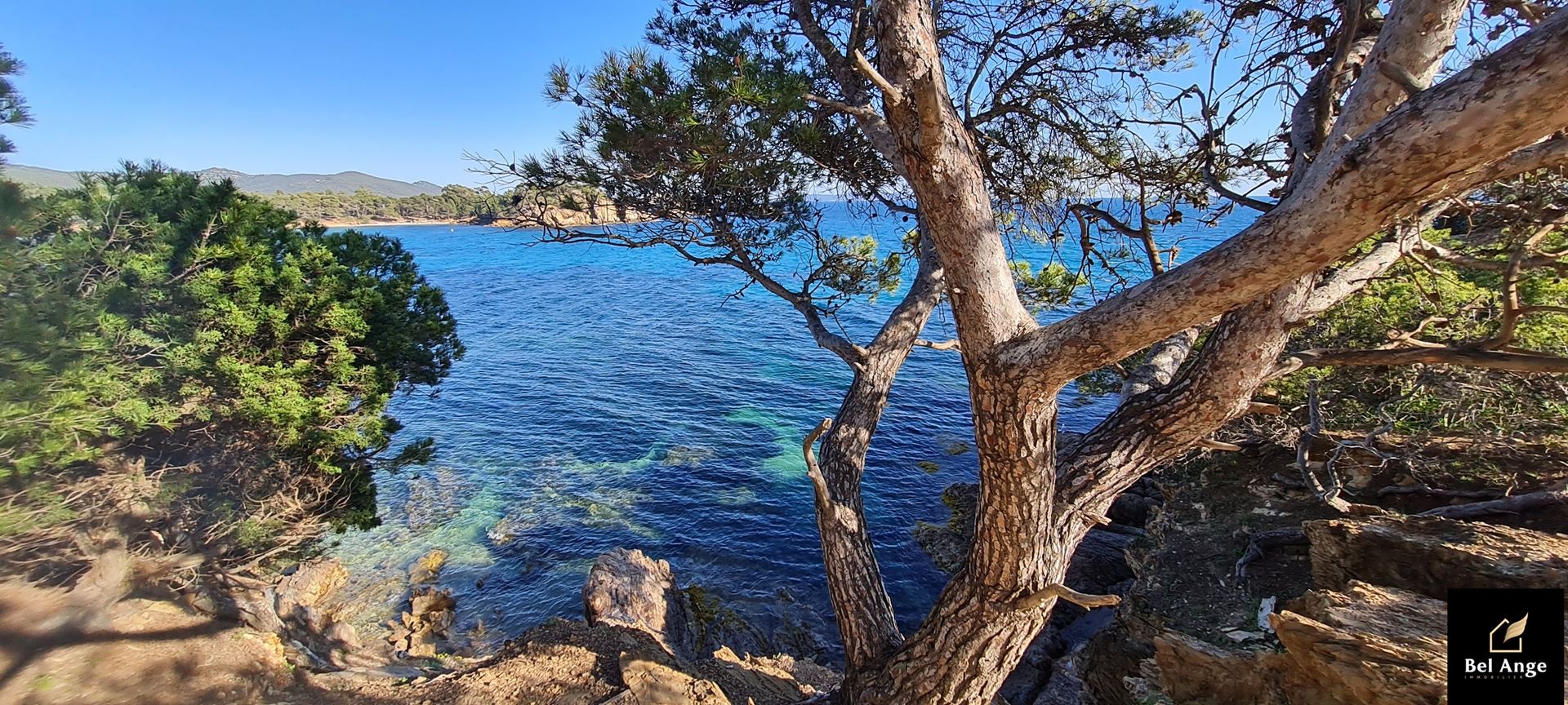 Vente Bureau / Commerce à Cavalaire-sur-Mer 2 pièces