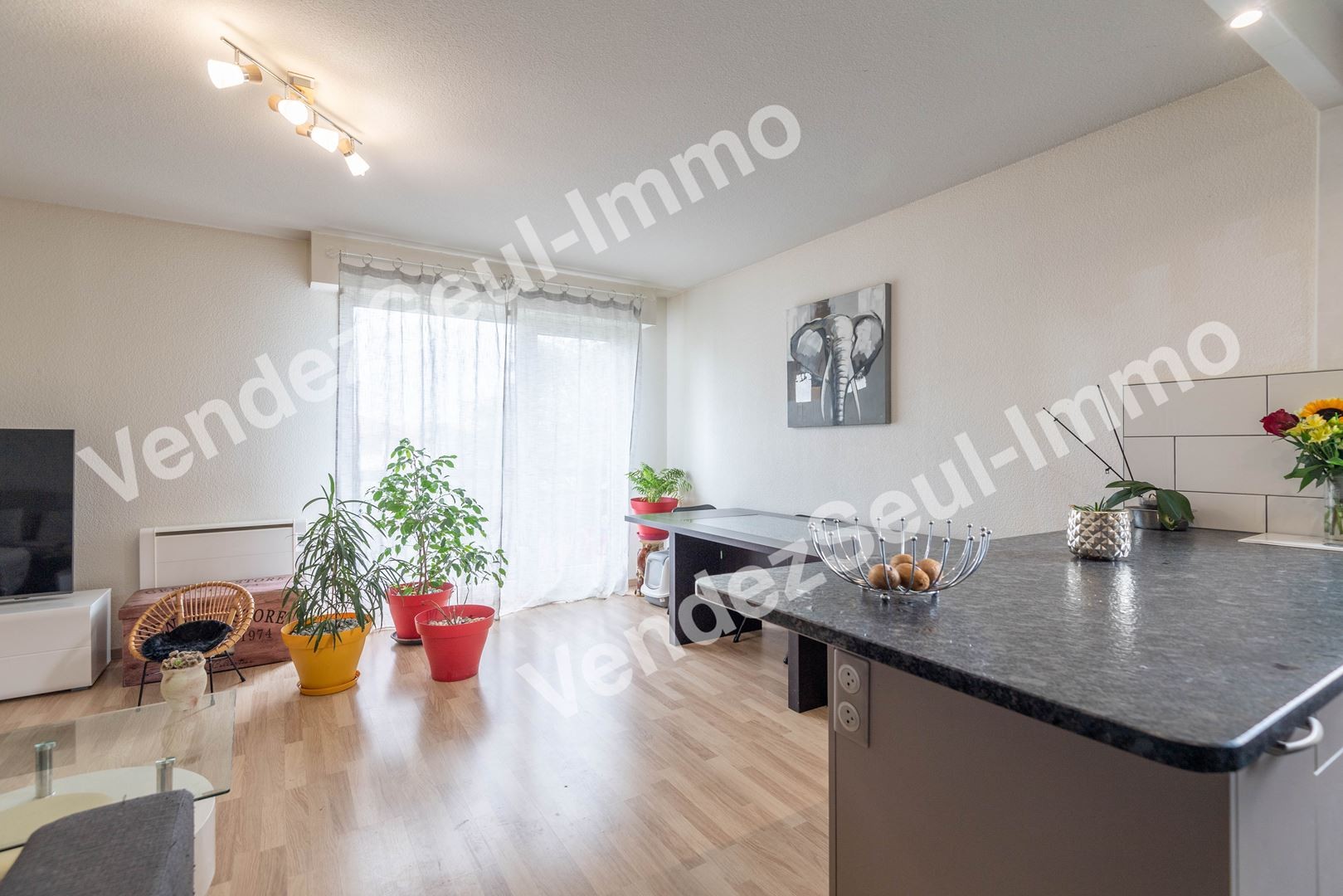 Vente Appartement à Annemasse 3 pièces