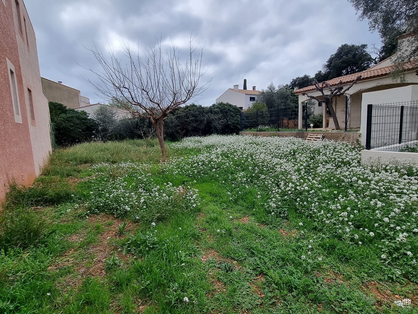 Vente Terrain à Frontignan 0 pièce