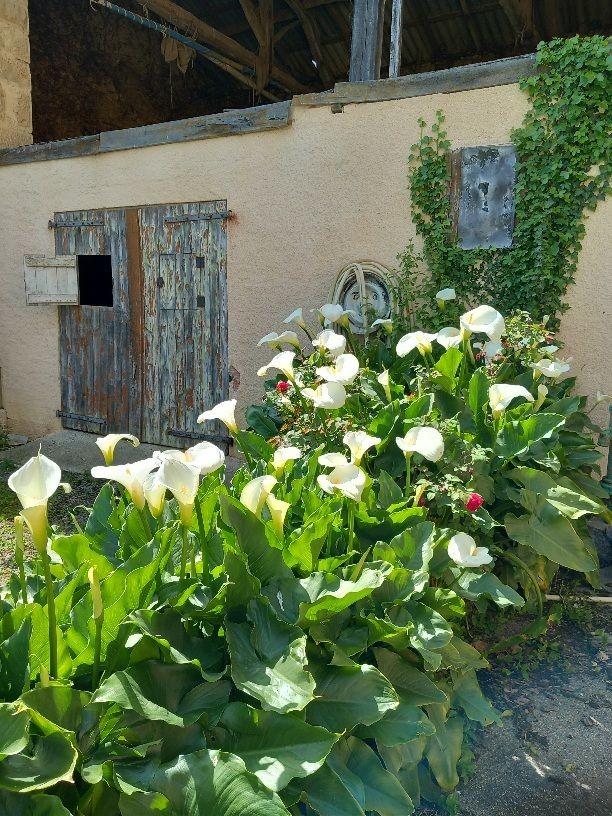 Vente Maison à Seissan 4 pièces