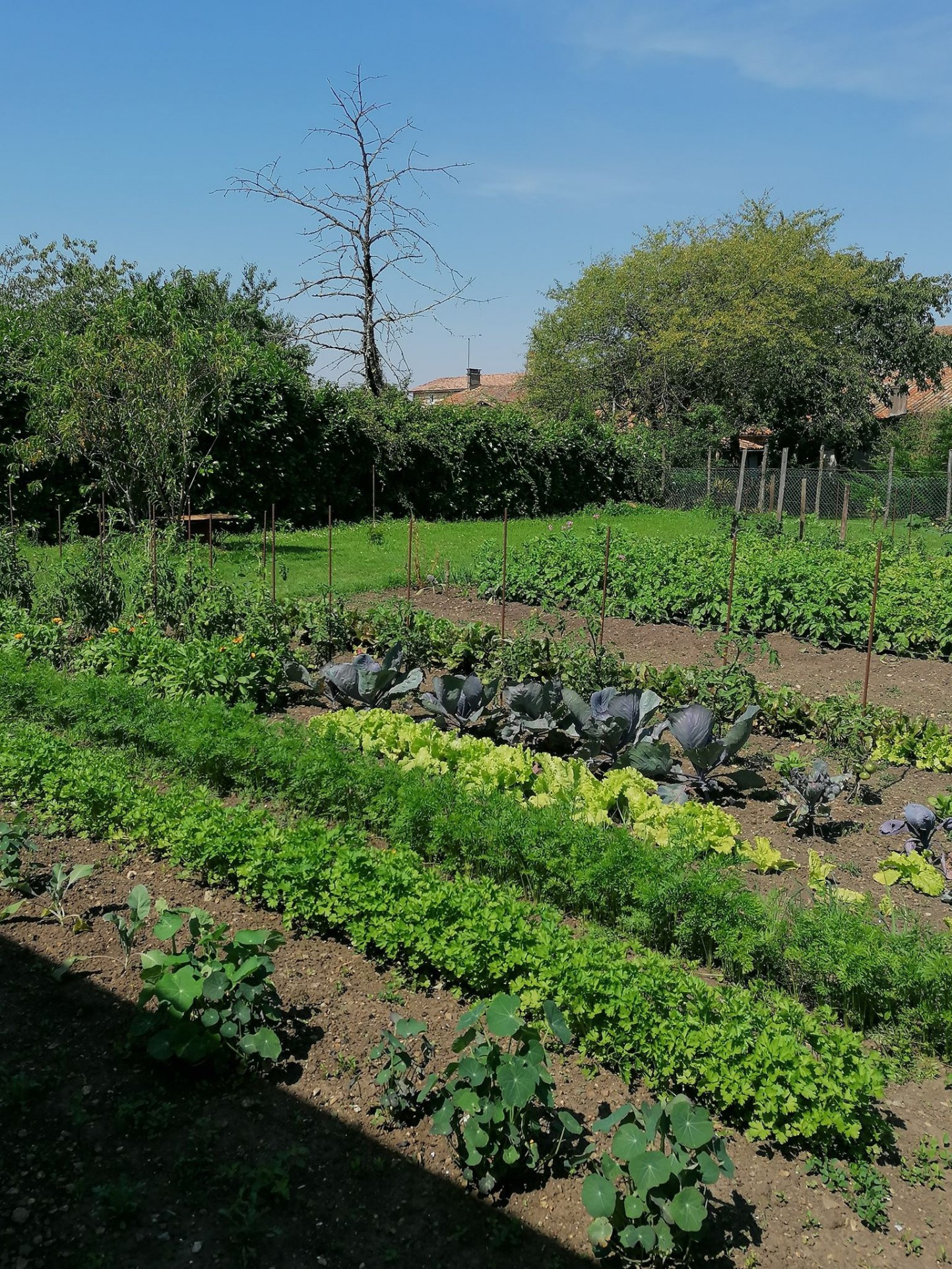 Vente Maison à Lezay 6 pièces