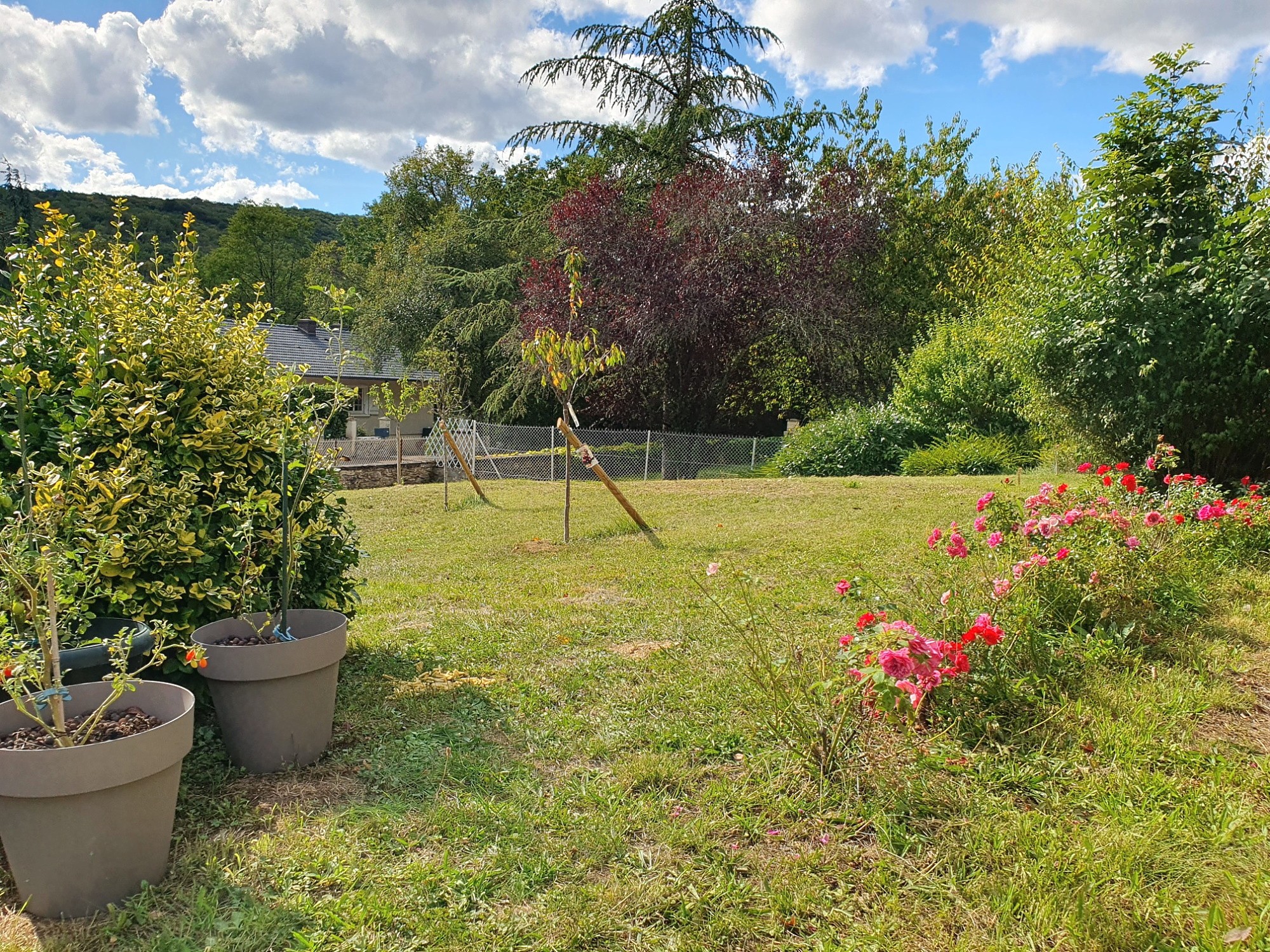 Vente Maison à Savigny-lès-Beaune 8 pièces