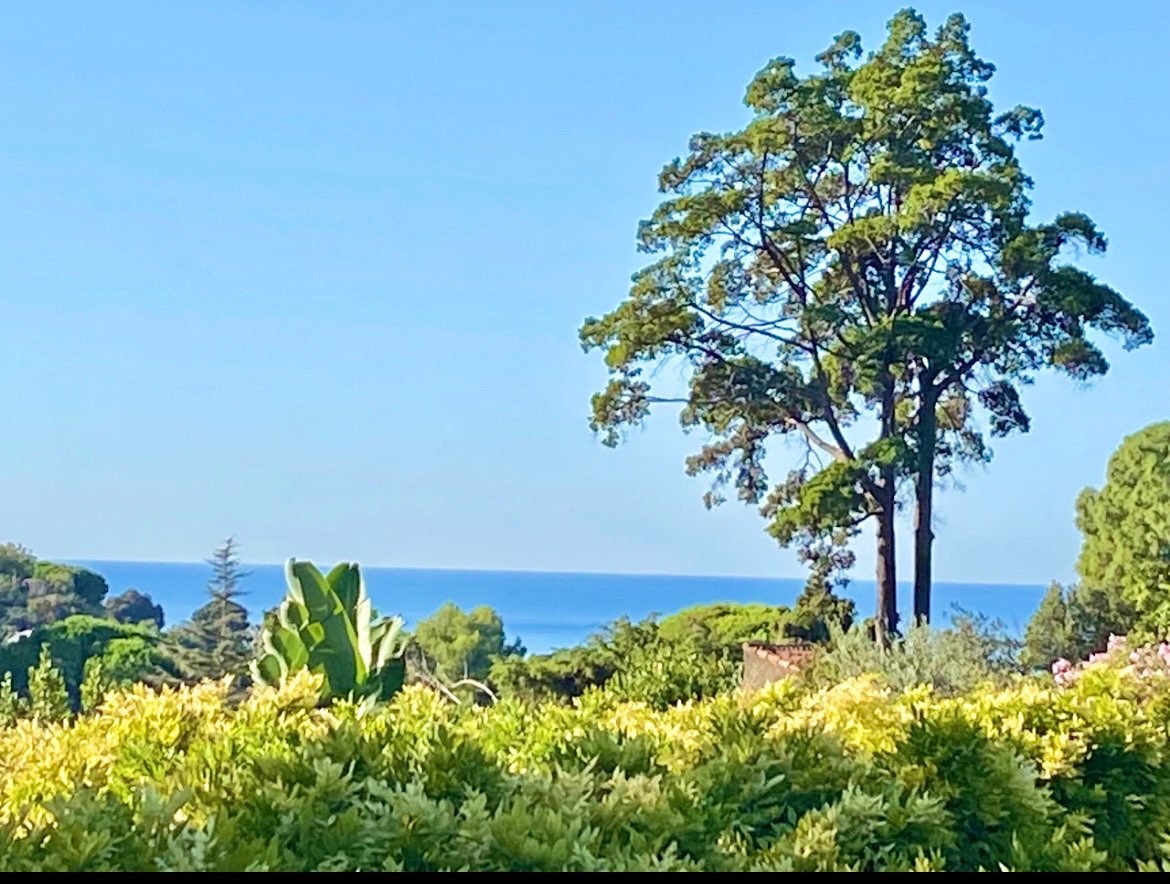 Vente Maison à Cannes 9 pièces