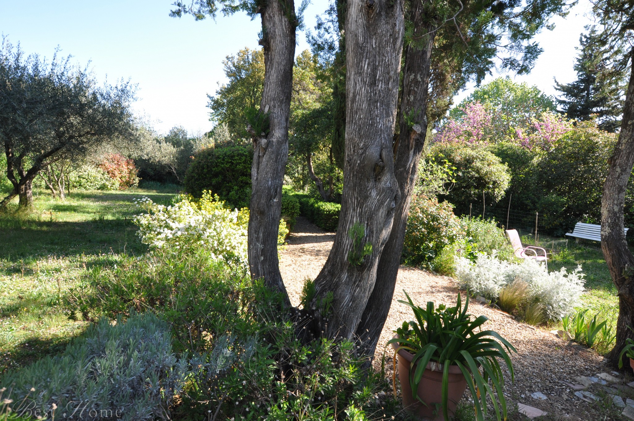 Vente Maison à Nîmes 7 pièces