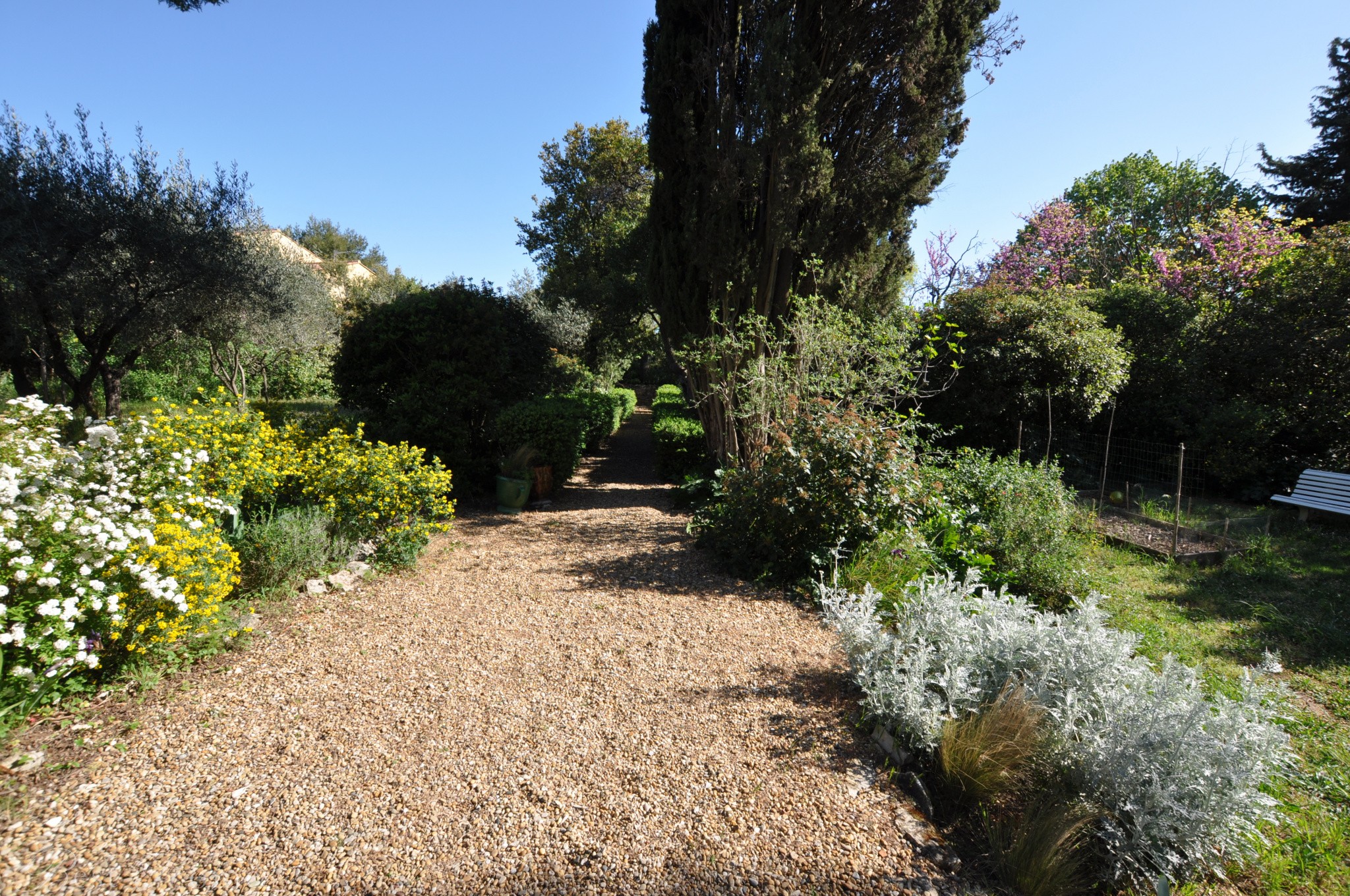 Vente Maison à Nîmes 7 pièces