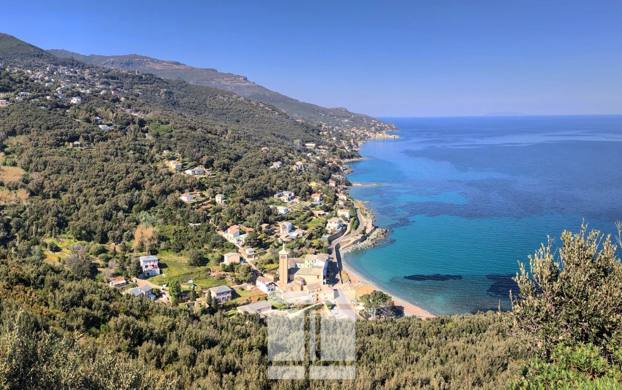 Vente Terrain à Brando 0 pièce