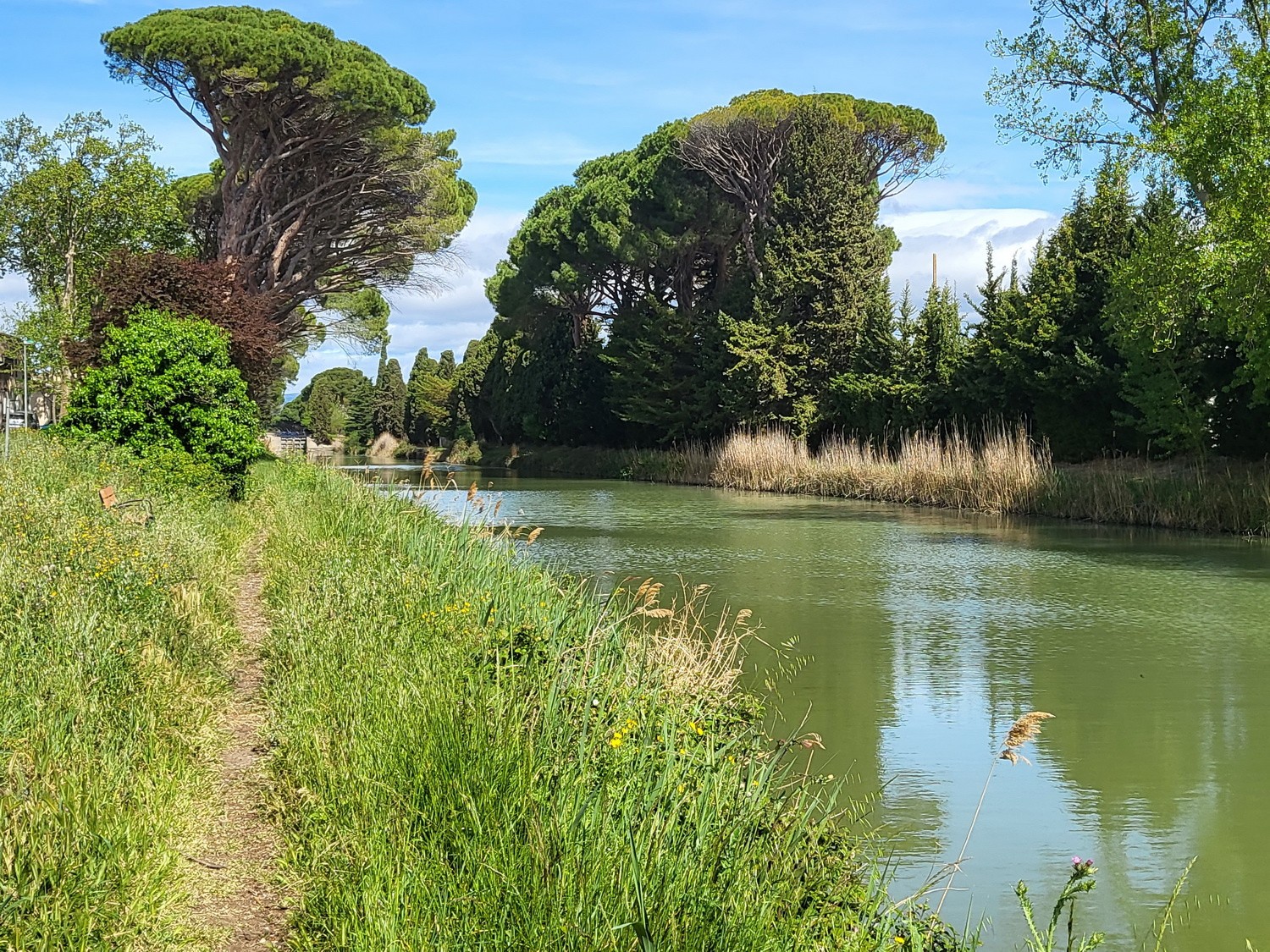 Vente Maison à Sallèles-d'Aude 5 pièces