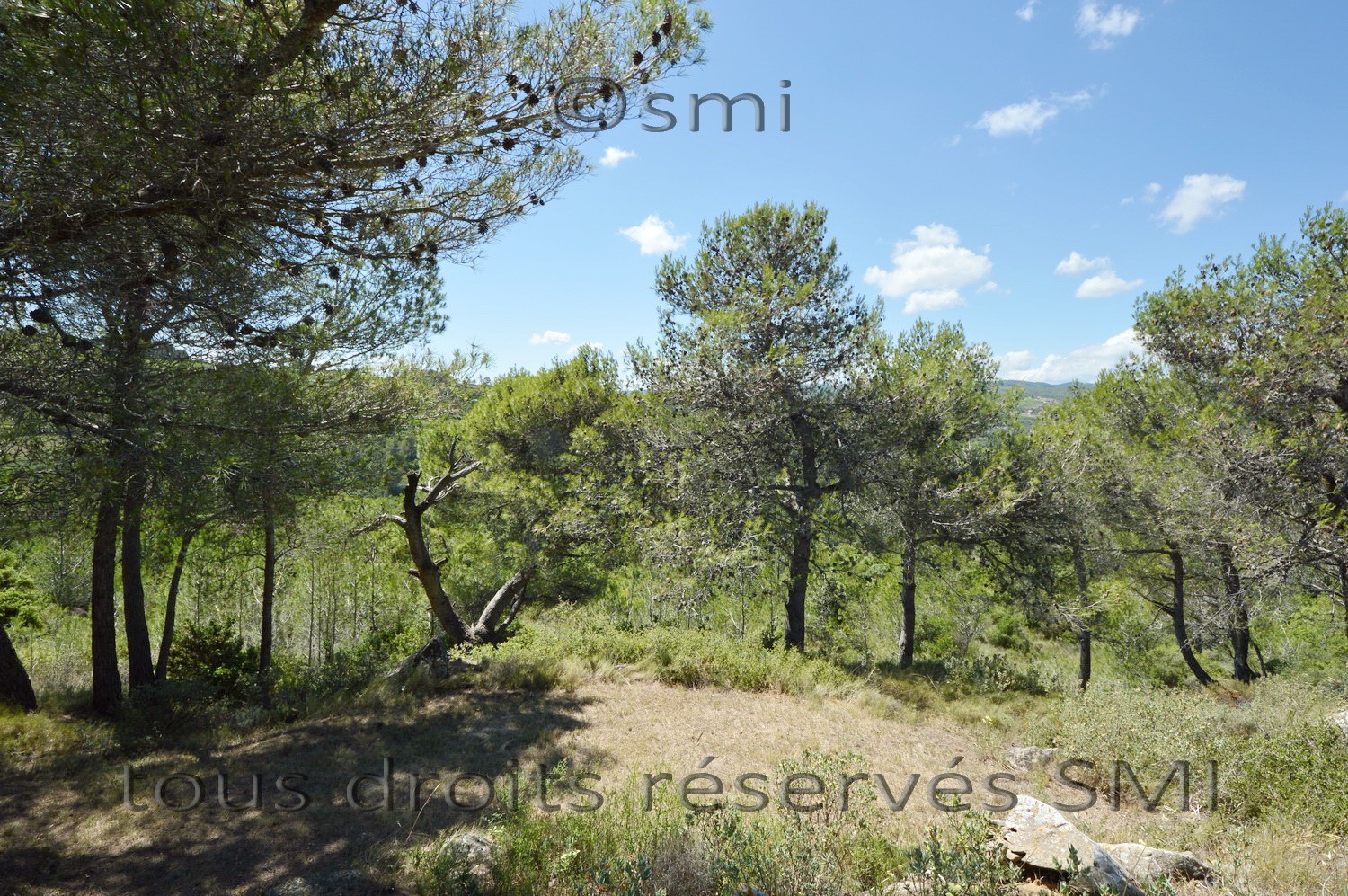 Vente Maison à Minerve 8 pièces