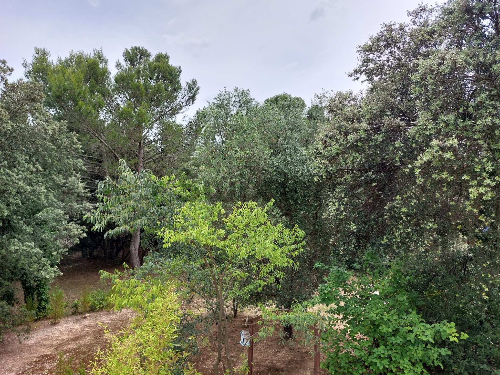 Vente Maison à Uzès 10 pièces