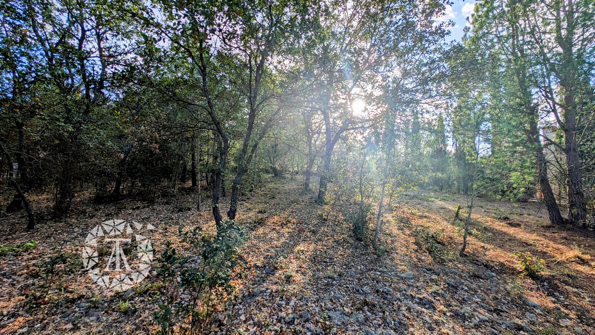 Vente Terrain à Laroque-des-Albères 0 pièce