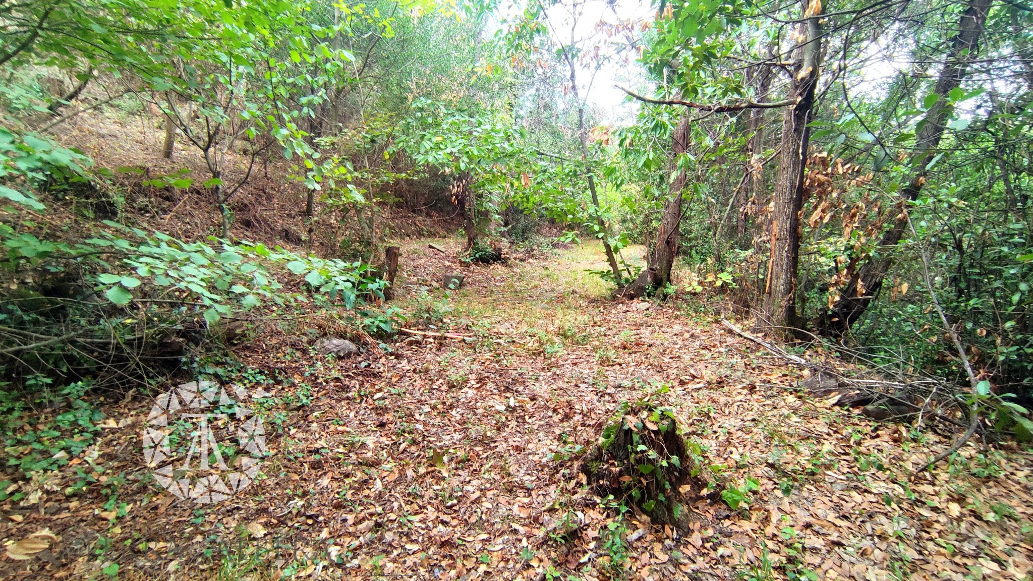 Vente Terrain à Laroque-des-Albères 0 pièce