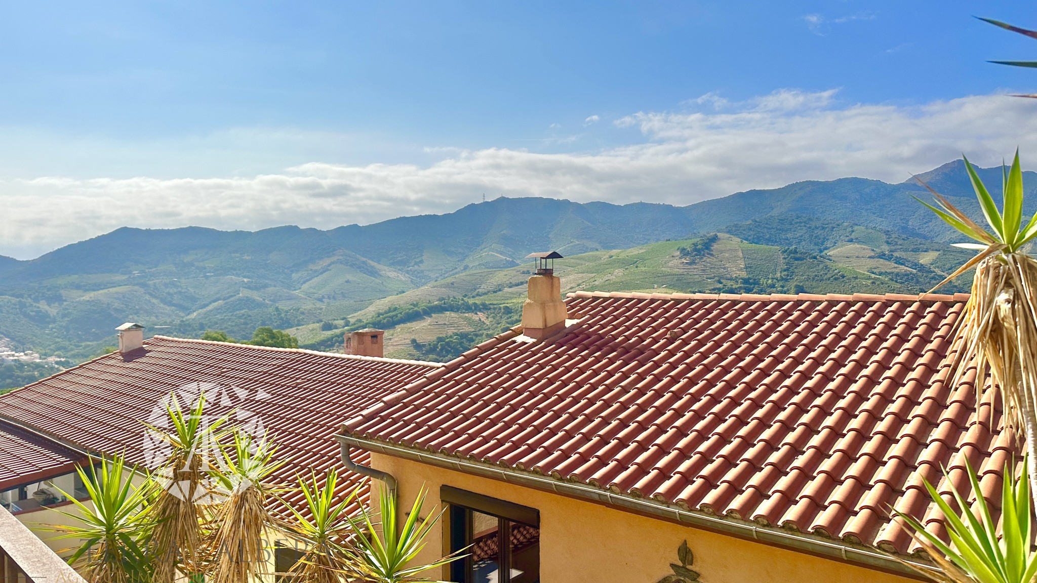 Vente Maison à Banyuls-sur-Mer 4 pièces