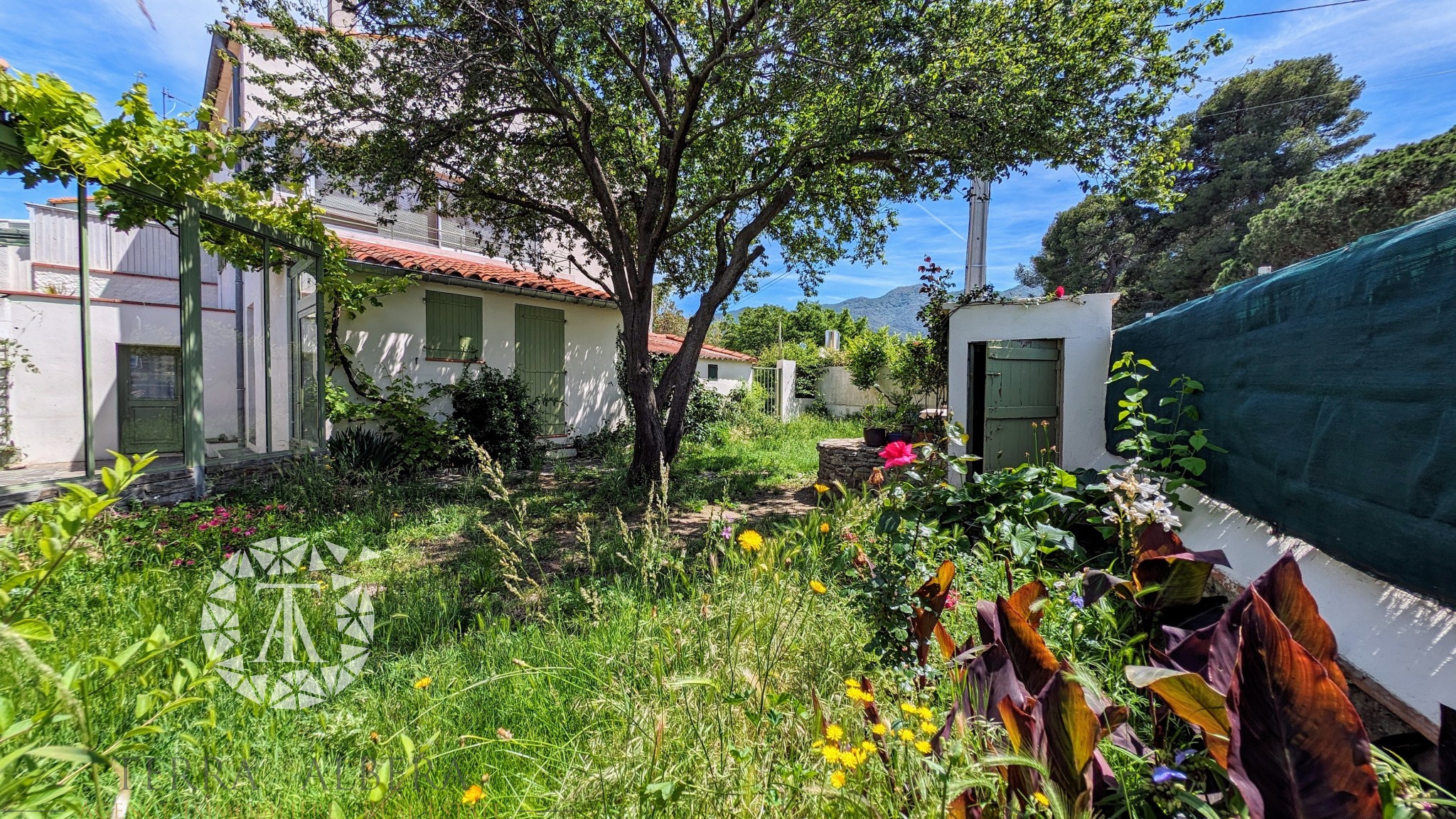 Vente Maison à Montesquieu-des-Albères 10 pièces