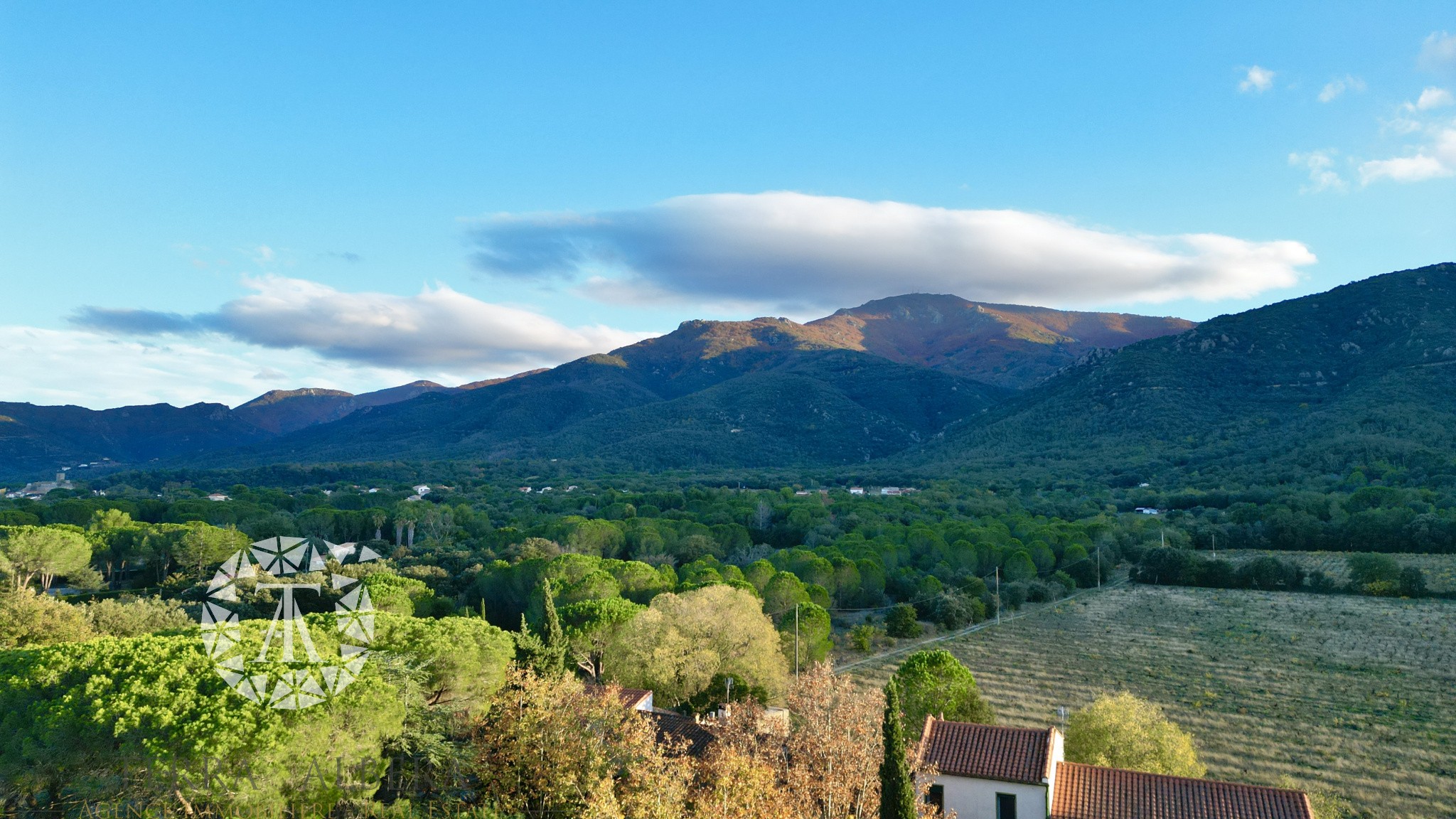 Vente Terrain à Laroque-des-Albères 0 pièce